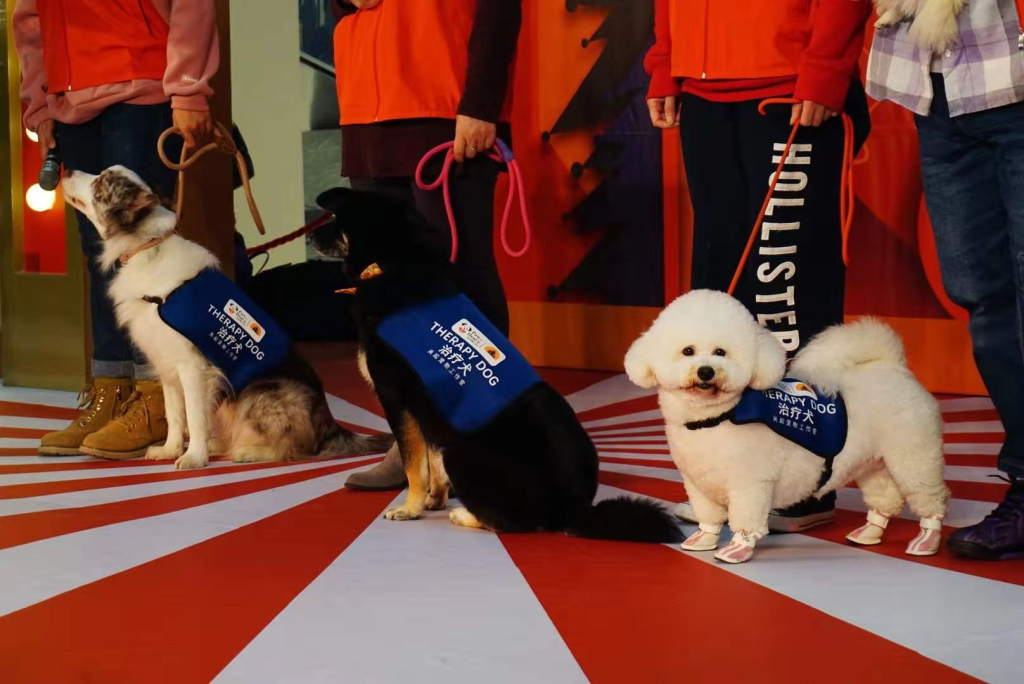 品牌活动 | PUPPY SALON现身上海万象城,助力治疗犬学员招募 image