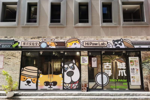 品牌新闻 | Puppy Salon×挥爪实验室，挥爪南头古城快闪店邀你来玩