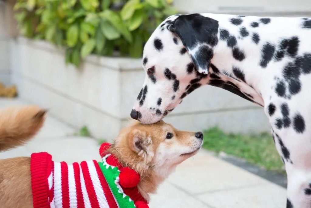 微信图片 20210426115144