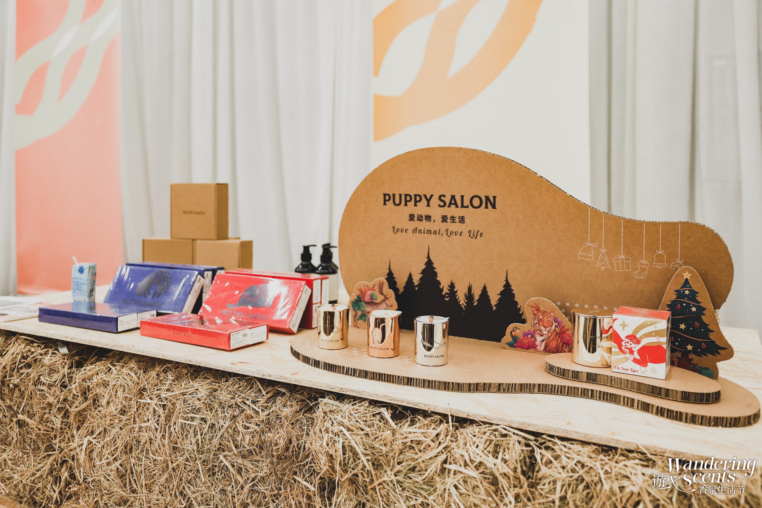 微信图片 20241223180842