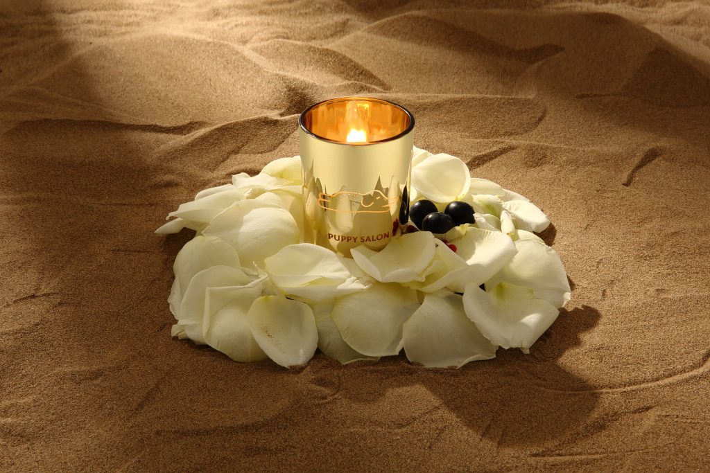 puppy salon帕比沙龙象系列香氛蜡烛