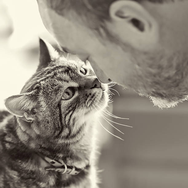 puppy salon帕比沙龙猫系列藤条香薰